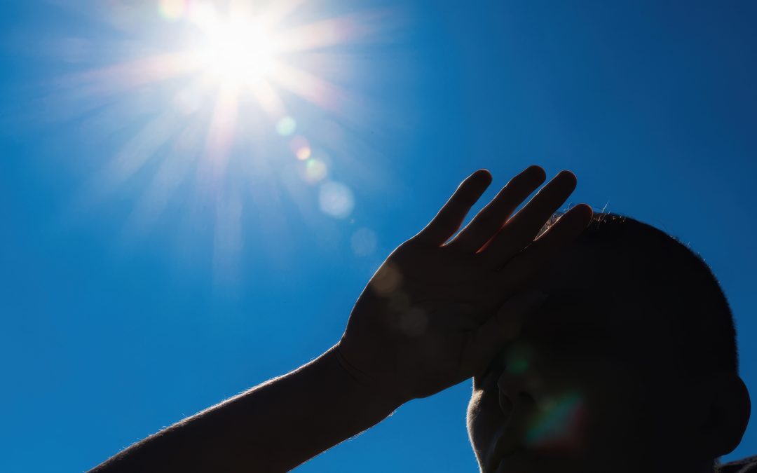 Schutz wichtig bei UV-Strahlung, Hitze und Allergien