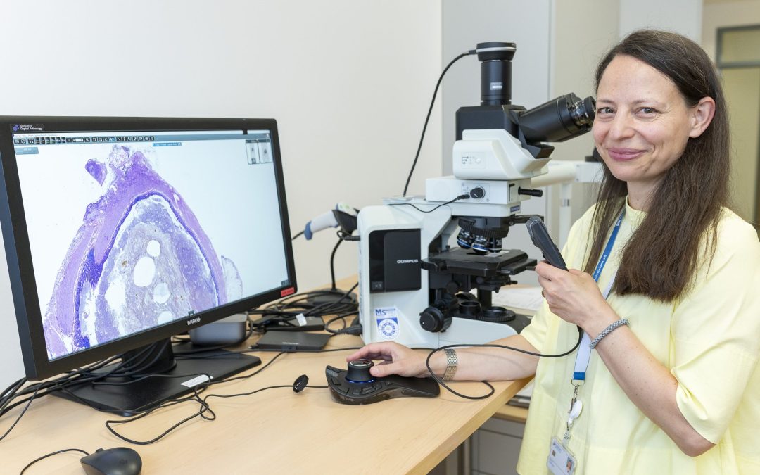 Moderne Pathologie: Wenn das Gewebe zum digitalen Datenbild wird